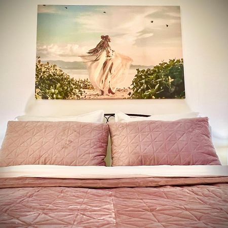 Elegant Apartment In 科希策 外观 照片